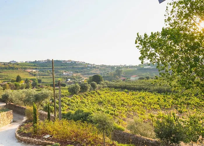 Willa Quinta Do Gato, Douro Valley,